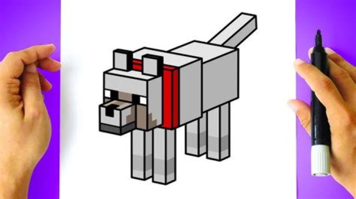 How to draw minecraft wolf