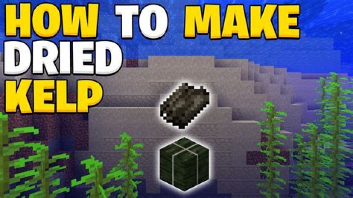 How to dry kelp in minecraft