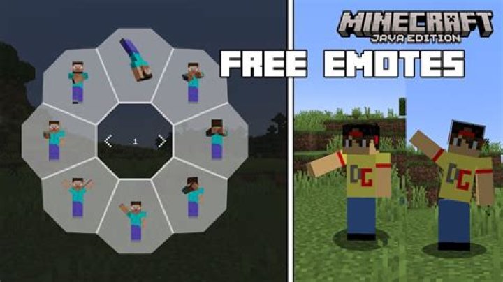 How to emote in minecraft (java)