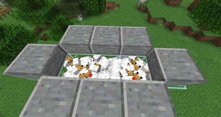 How to farm chickens in minecraft