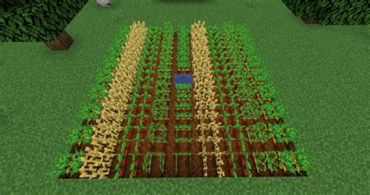 How to farm in minecraft