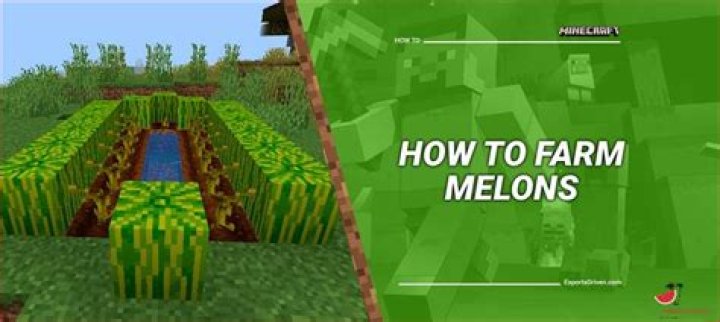 How to farm watermelon in minecraft