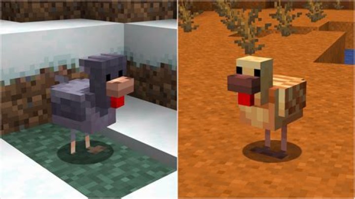How to feed chickens in minecraft