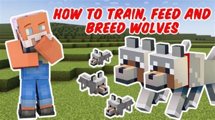 How to feed wolf in minecraft