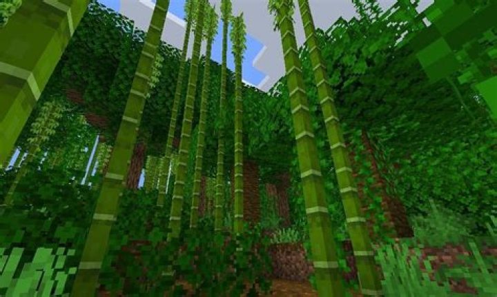 How to find a bamboo forest in minecraft