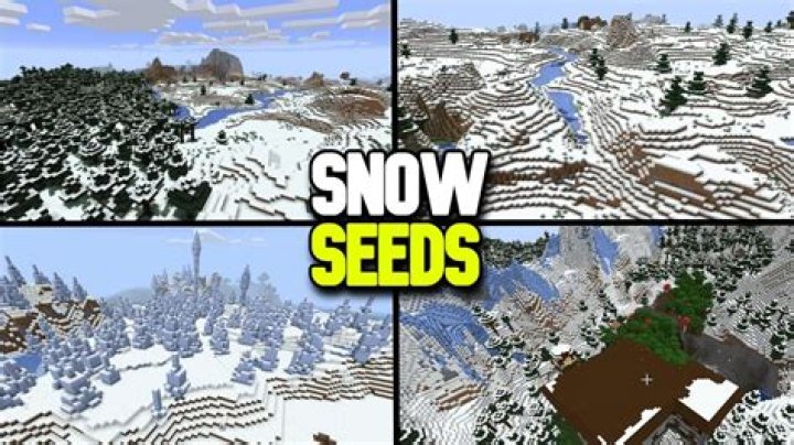 How to find a snow biome in minecraft