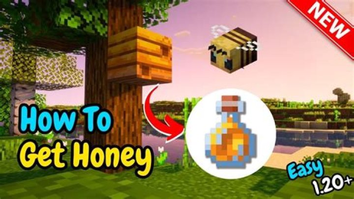 How to find honey in minecraft