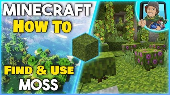 How to find moss in minecraft