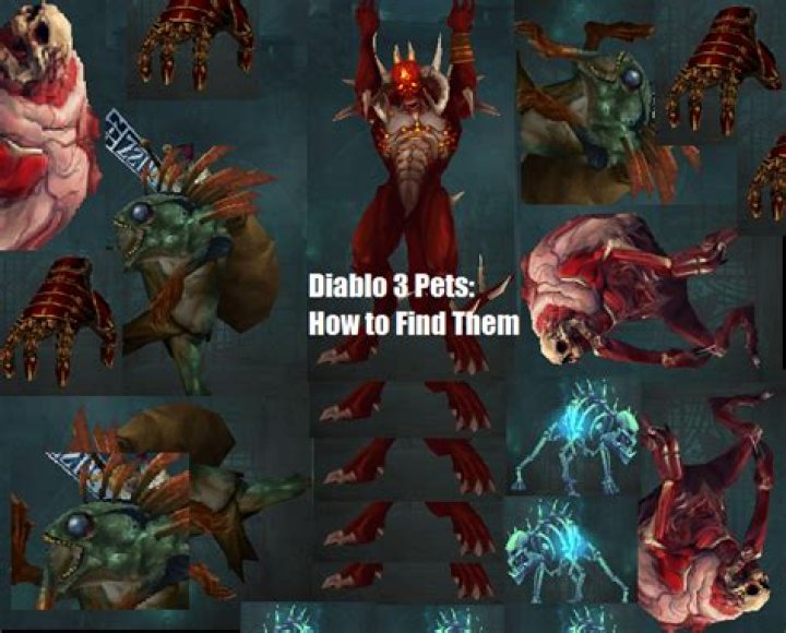 How to find pets in diablo 3