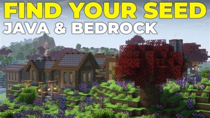 How to find seeds in minecraft