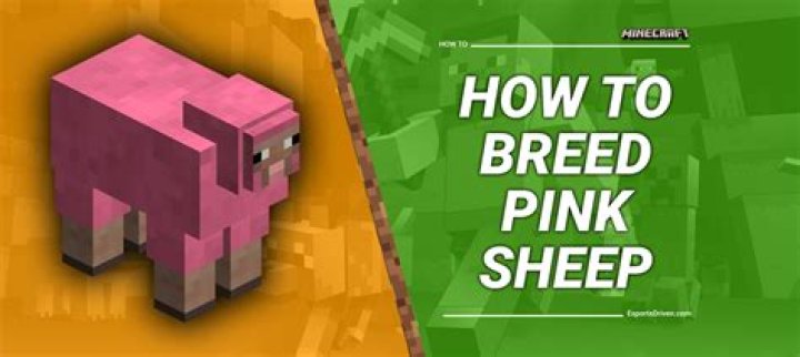 How to find sheep in minecraft