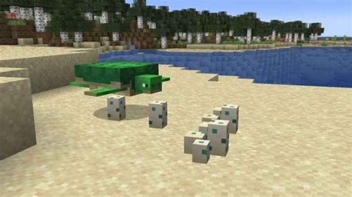 How to find turtles in minecraft
