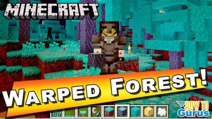 How to find warped forest minecraft