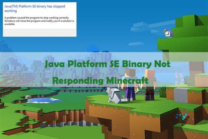 How to fix java se binary for minecraft