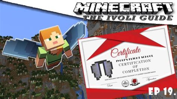 How to fly minecraft