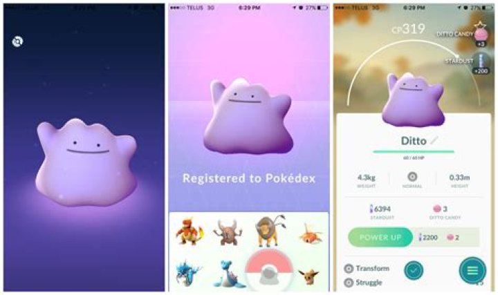 How to get a ditto pokemon go