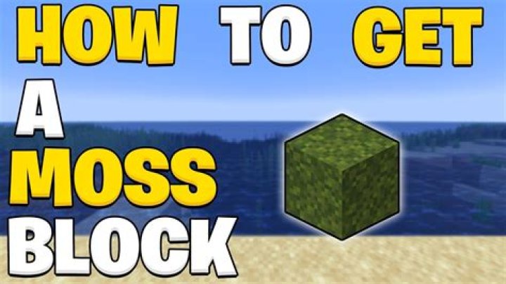 How to get a moss block in minecraft
