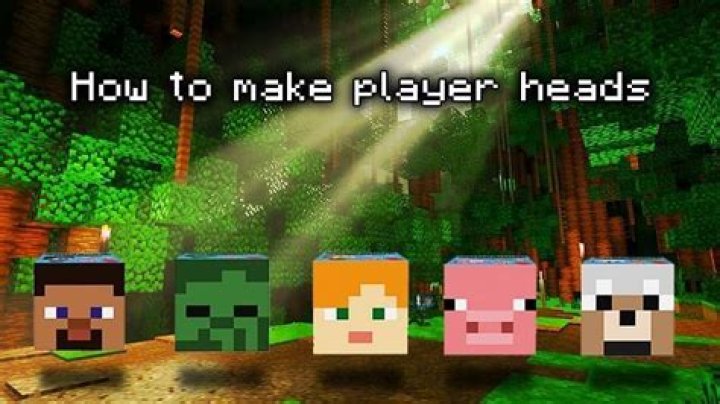 How to get a player head in minecraft