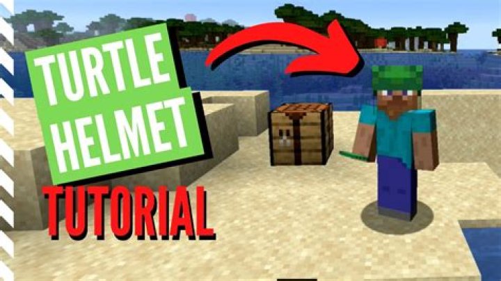 How to get a turtle helmet in minecraft