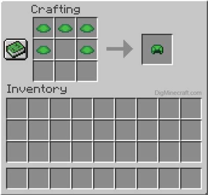 How to get a turtle shell in minecraft