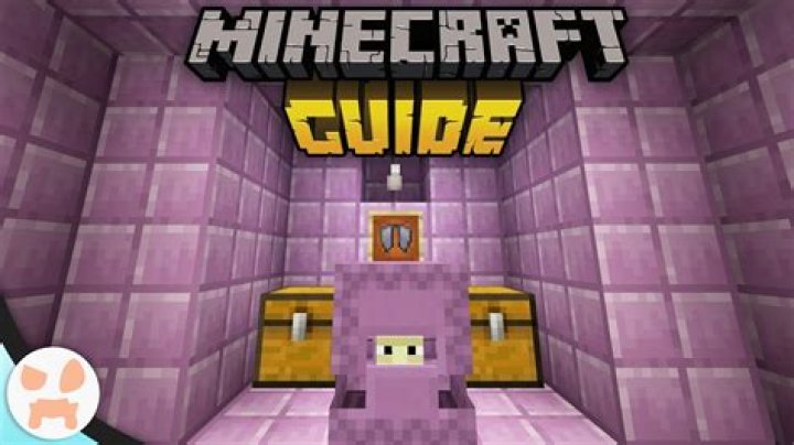 How to get an elytra minecraft