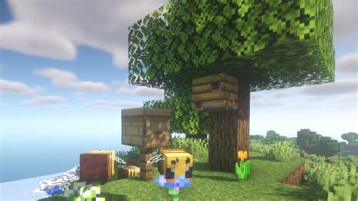 How to get bees minecraft