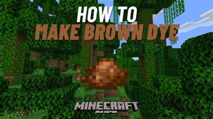 How to get brown dye in minecraft java