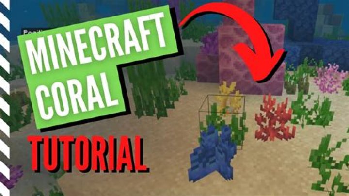 How to get coral in minecraft