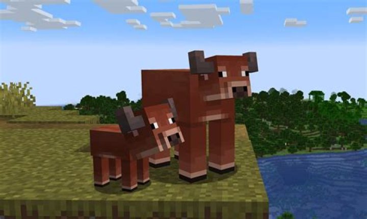 How to get cows to mate in minecraft