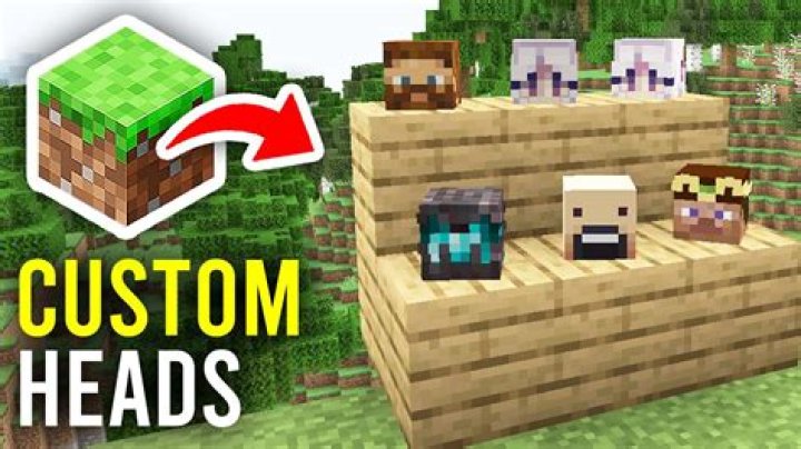 How to get custom heads in minecraft 1.14