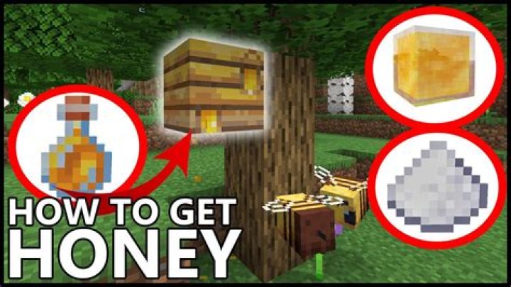 How to get honey in minecraft