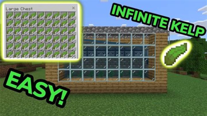 How to get kelp in minecraft
