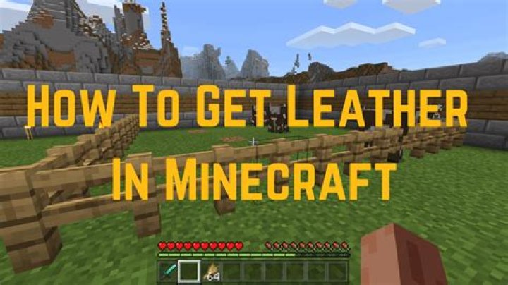 How to get leather in minecraft