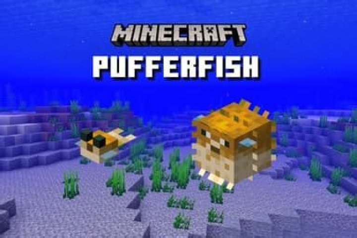 How to get pufferfish minecraft