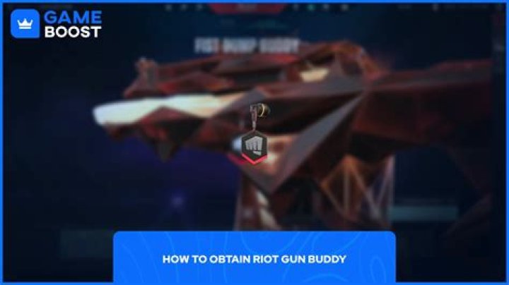 How to get riot buddy valorant