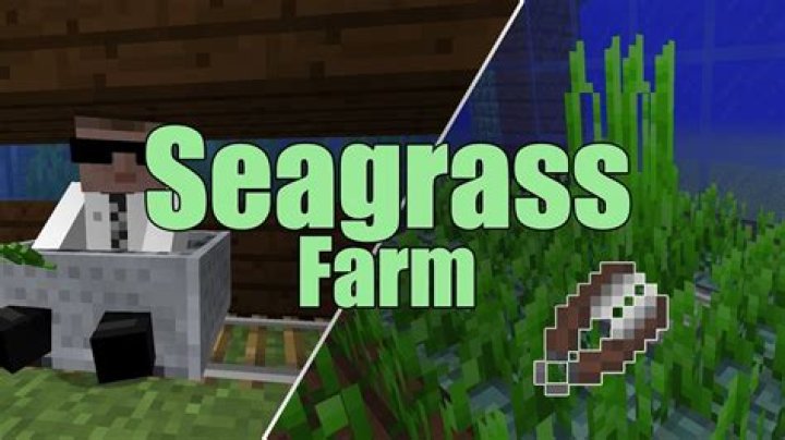 How to get seagrass minecraft