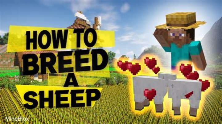 How to get sheep to breed in minecraft