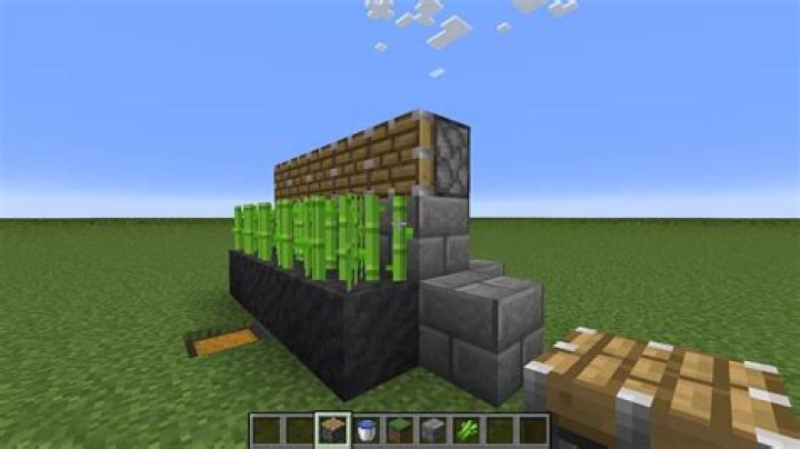 How to get sugar cane seeds in minecraft