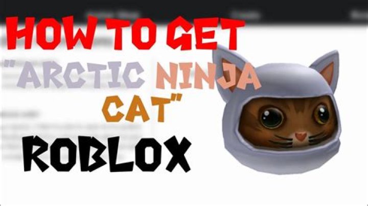 How to get the arctic ninja cat in roblox