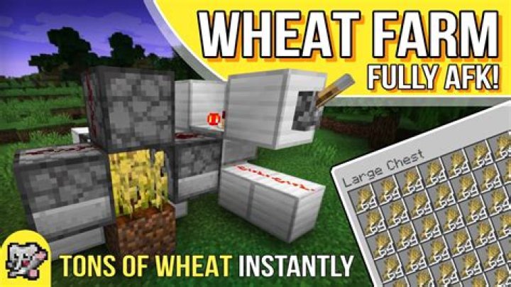 How to get wheat minecraft