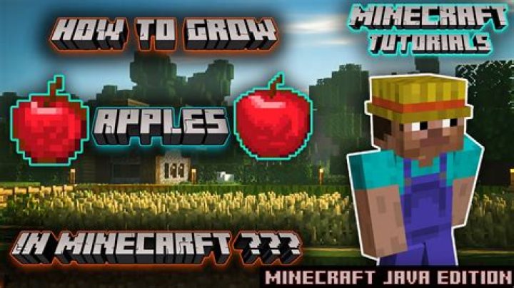 How to grow apples in minecraft