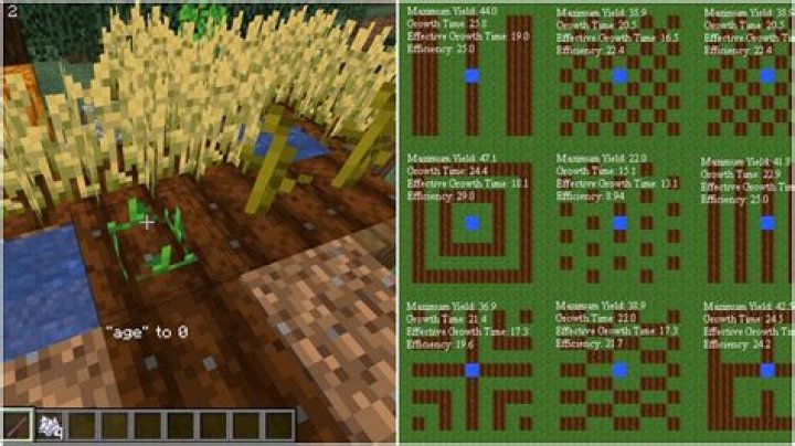 How to grow crops in minecraft