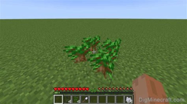 How to grow dark oak trees in minecraft