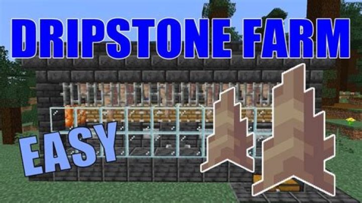 How to grow dripstone minecraft