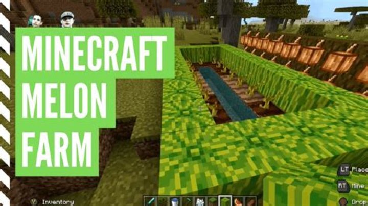 How to grow melons in minecraft