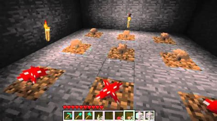 How to grow mushrooms minecraft