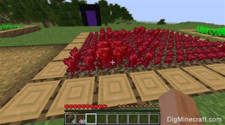 How to grow nether wart in minecraft pe