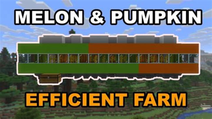 How to grow pumpkin minecraft