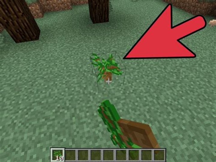 How to grow tree in minecraft