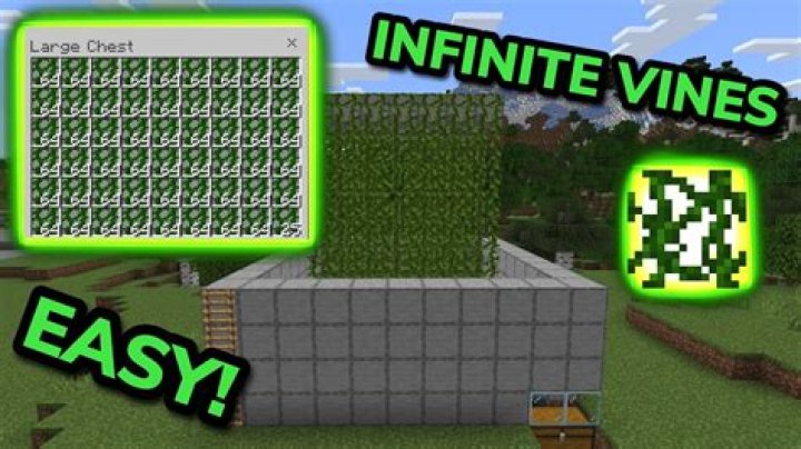 How to grow vines in minecraft